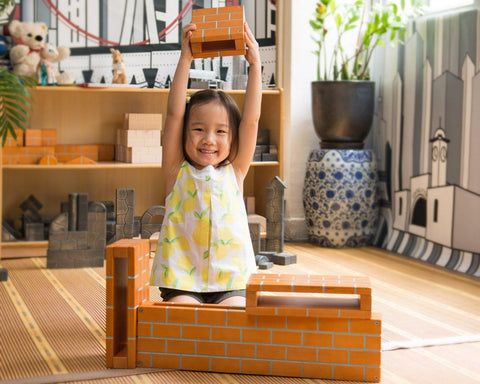 20 Piece Hollow Bricks Set Unit Bricks Unit Bricks